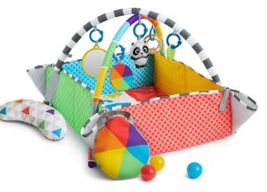 5 in 1 discovery gym