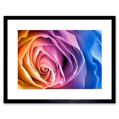 Regenbogen Rose Fotobearbeitung Kunstdruck gerahmtes Poster Wanddeko