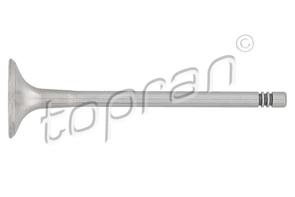 Topran Auslassventil 107 132 FüR Seat Skoda 1J1 3B6 Audi Golf Sharan 1J2 Bora Vw-image