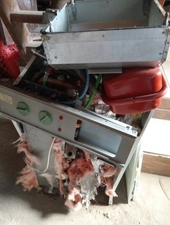 Worcester Heatslave 15/29 Boiler