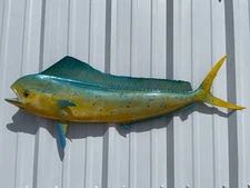 42" Cow Dolphin Half Mount (Mahi) Fish Mount Replica - Quick Production