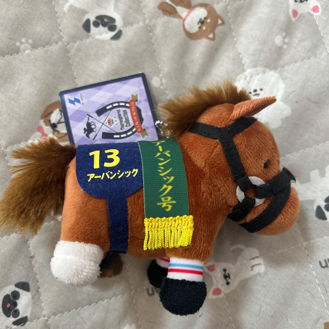 Urban Chic Thoroughbred Collection | eBay