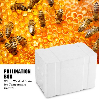 1/2pcs Queen Bee Rearing Mating Beehive Beekeeping Tool Foam Pollination Box