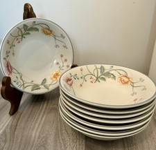 VILLEROY & BOCH W. Germany Dinnerware ALBERTI...