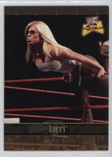 2001 Fleer WWF The Ultimate Divas Collection In Ring Gold Terri Runnels #73 1z4