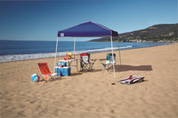 10 X 10 Instant Canopy 10 X 10 Instant Canopy