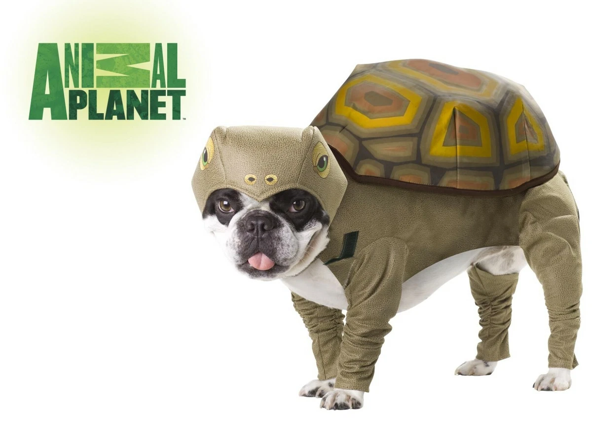 InSpirit Designs Appa Pet Costume, 51 OFF