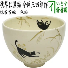 Tea utensils Matcha tea bowl Colored tea bowl Autumn grass and black cat Made