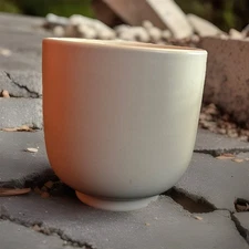 Room Essentials Ceramic Jar 2 Wick Candle Peony & Freesia 13.5oz