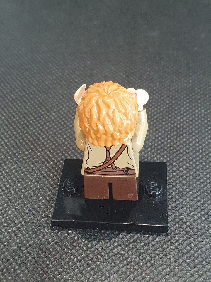 Lego LOTR Samwise Gamgee Minifigure | eBay Australia