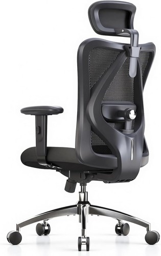 SIHOO M18 Ergonomic Office Chair, High Back Mesh Desk Chair with Adjustable Head