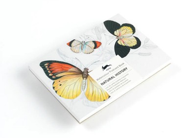 Natural History | Pepin van Roojen | Buch | Deutsch | 2024 | Pepin Press