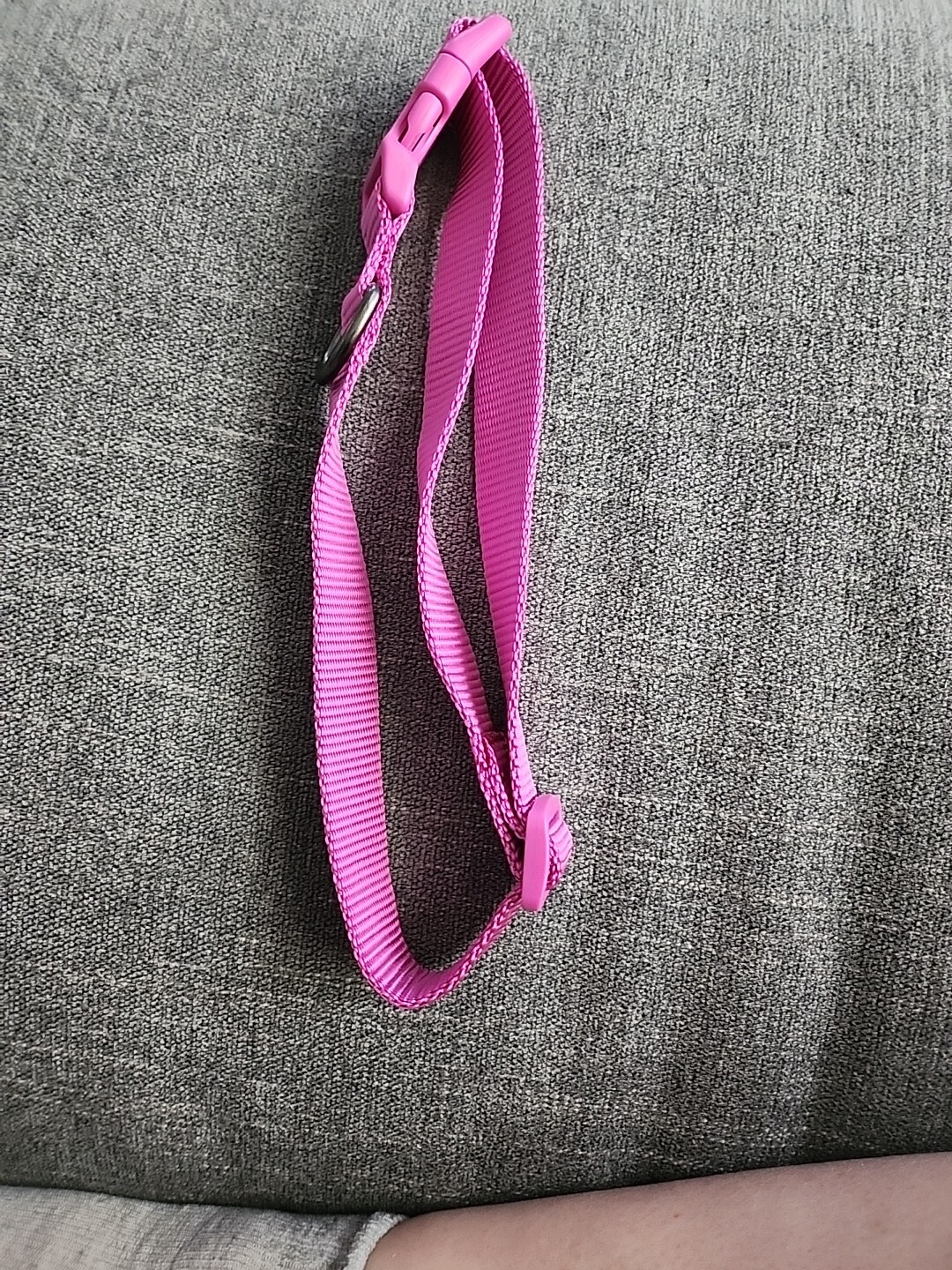 Boots and Barkley DOG COLLAR Pink Extra Large (XL) BRAND NEW eBay