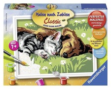 Ravensburger 27854 Peindre Par Numéros Profonde Sommeil 18 X 13 Cm Chat Et Chien