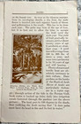 1923 Hills Brothers Co booklet about the history of Dates + exam questions! Used — photo 6