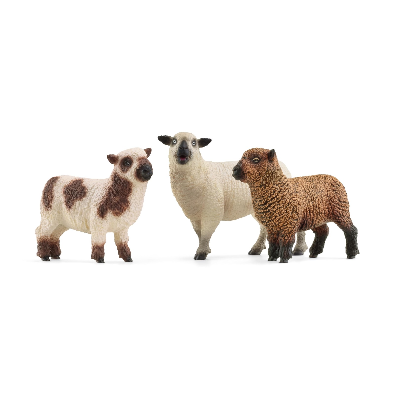 Educational Play Fun