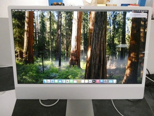 Apple IMac (A2438) M1/256 GB -8 GB-écran 24", GRIS (Occasion DEFAULT  )