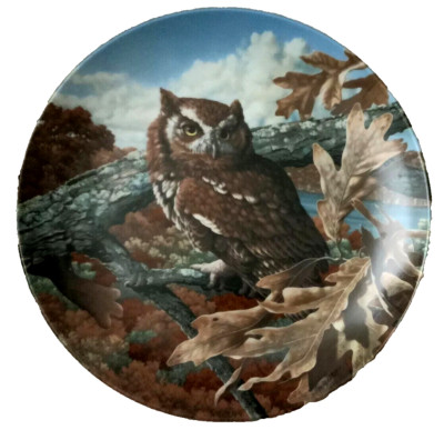 BRADEX Sammelteller Eulen ''The Eastern Screech Owl'' Käuzchen / Schreieule NEU