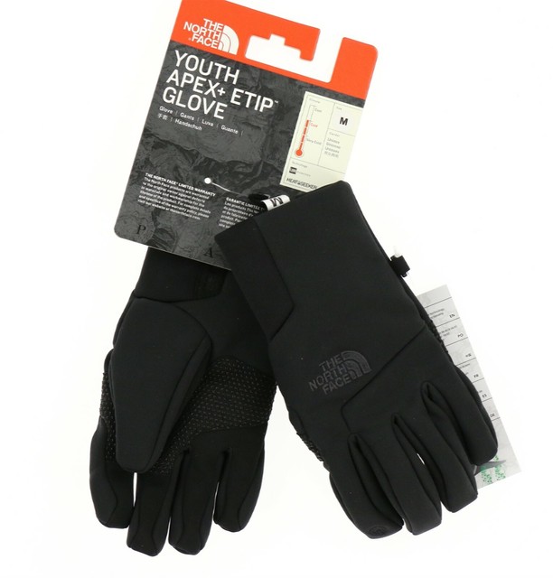 the north face apex etip