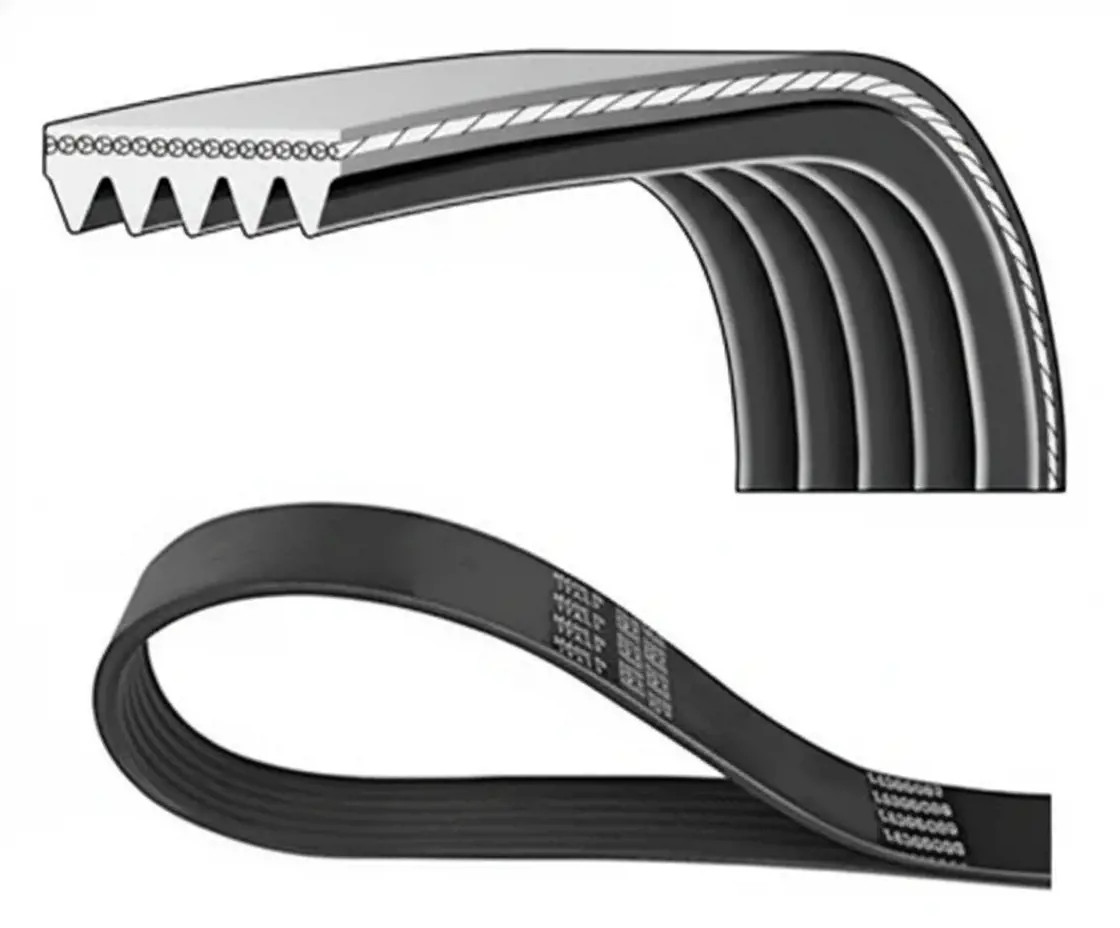 Dayco Cinghie Con Nervatura A V 5Pk730 - Immagine 2