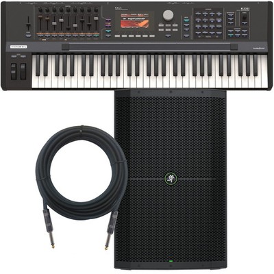 Kurzweil K2061 Synthesizer Workstation MONITOR KIT