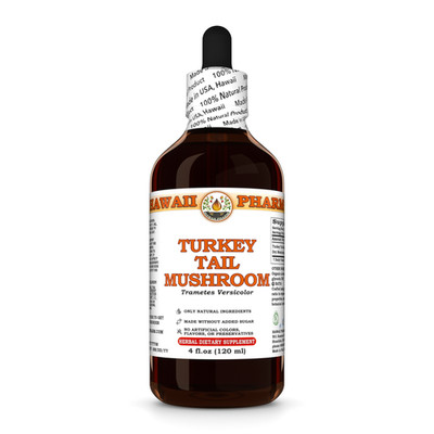 Turkey Tail Mushroom (Trametes Versicolor) Dried Mushroom Liquid Herbal Extract