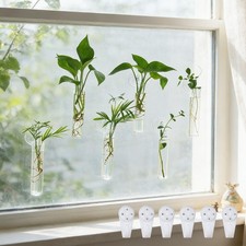Bunmery 6 pcs Window Propagation Stations, Plant Propagation Tubes with sucki...