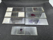  on The Hot Collector