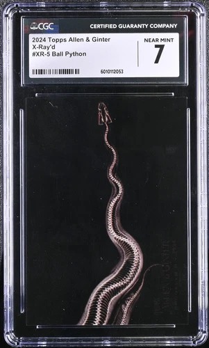 2024 Topps Allen & Ginter Ball Python #XR-5 X-Ray'd Baseball CGC 7