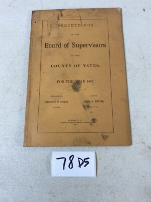 Yates County Board Of Supervisors Proceedings 1882 Dundee NY New York 78D5