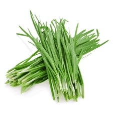 5gram / 1000pcs+ Chinese Chives Seeds, Chinese Leek Seeds 韭菜种子