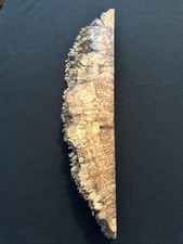 Loupe d’érable fendue, bord vivant, 20” de long, 3 3/4” de large, 2 1/4” d’épaisseur, sèche