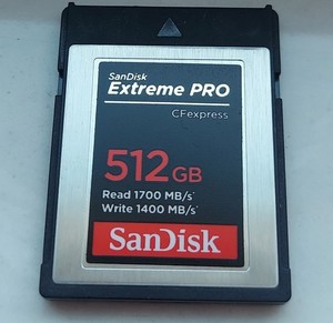 Sandisk 256GB Extreme Pro Cfexpress Card Type B | eBay