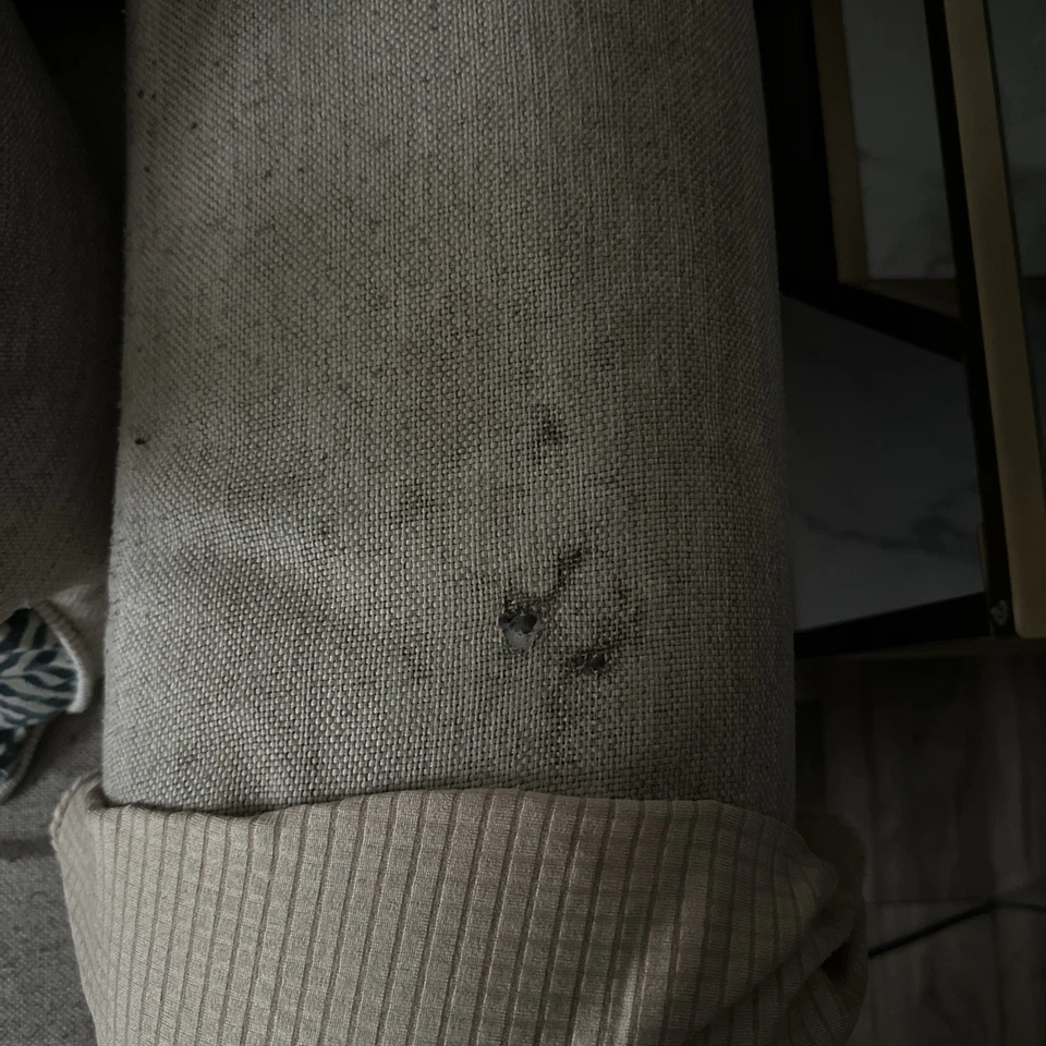 2-piece Couch Sofa Set - Image 3 of 3