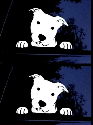 SIGNAGE CAFE Pit Bull Peeking Two 6" White Vinyl Decals Car Windows Laptop Tablet