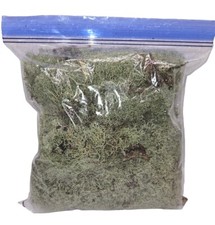 Deer Moss Lichen 1 gallon Live Reindeer Plant Train Craft Terrarium Fairy Garden