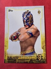 2015 Topps WWE NXT Prospects #7 Kalisto, Rookie, cd1