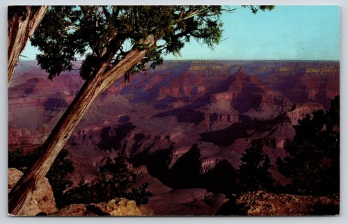 Photogravure Ancienne Grand Canyon 1910 - Desert View Road, Fred Harvey, Encadrable