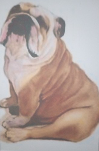 5" x 7" Matted 4" x 6" Print of Painting of Cute Sitting Old English Bulldog - Picture 2 of 3