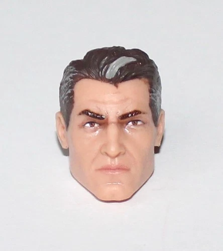 PURGE 923 General Hawk Head GIJOE CLASSIFIED SERIES 6" Scale 1/12