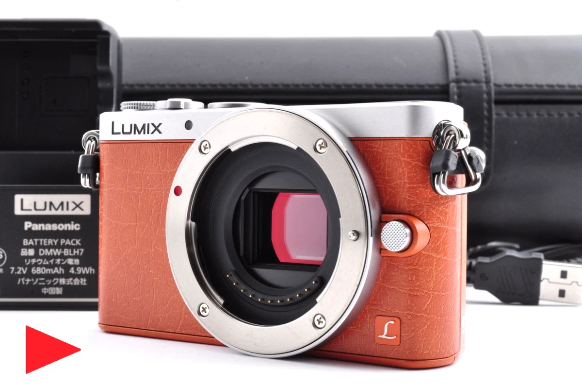 Panasonic LUMIX GM1 14-16.9MP Digital Cameras for Sale | Shop New