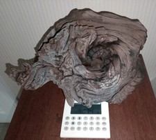 Large 4Kg Mangrove Root Bogwood Driftwood Ideal for Aquariums & Vivariums