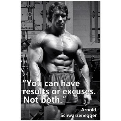 Arnold Schwarzenegger Gym Motivation Quote Poster Classic Fitness 1975