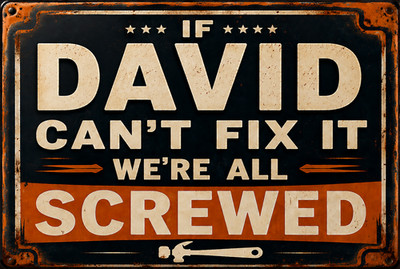 If David Can't Fix It We're All Screwed Funny Aluminum Sign PICK YOUR SIZE
