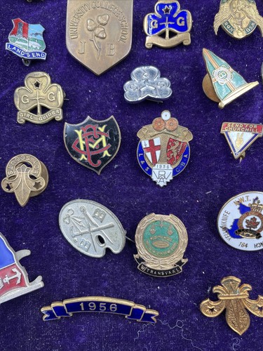 LOTE DE TRABAJO X29 INSIGNIAS DE COLECCIÓN INCLUYENDO ESMALTE - Imagen 5 de 6