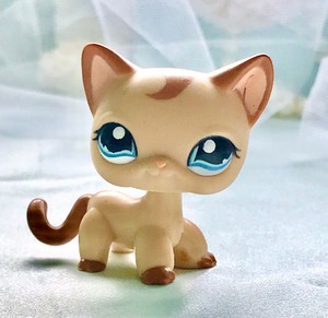 littlest pet shop shorthair