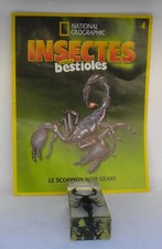 Résine inclusion insectes entomologie taxidermie N° 4 LE SCORPION NOIR GEANT