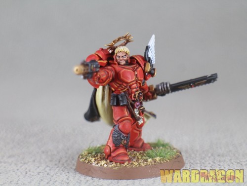 Warhammer 40K WDS painted BLOOD ANGELS CAPTAIN y7 - Picture 6 of 9