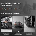 Bild 6 von 8