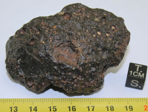 Meteorit Einzelne Nwa 14161 - Chondrit Carbonée CV3 (111 Grs - 002) - Picture 7 of 8